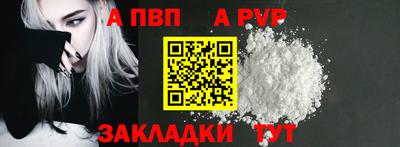 стаф Кинель